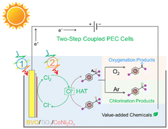 Graphical abstract: Two-step coupled photoelectrochemical chlorination and oxygenation of C(sp3)–H bonds mediated by chlorine radicals over a modified BiVO4 photoanode