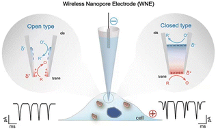 Graphical abstract: Wireless nanopore electrodes (WNEs): from a non-contact conductive tip to applications in electroanalysis and electrocatalysis