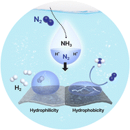Graphical abstract: Modulating catalyst surface wettability to boost electrochemical ammonia synthesis under ambient conditions