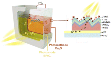 Graphical abstract: Activating SnOx-coated Cu2O photocathodes for efficient photoelectrochemical CO2 reduction and unassisted tandem device integration