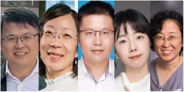 Graphical abstract: Introduction to ‘Nanomaterials for a sustainable future: from materials to devices and systems’