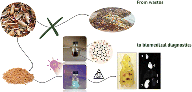 Graphical abstract: Gadolinium-doped carbon dots derived from peanut shell waste for bioimaging applications