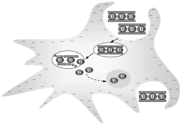 Cellular uptake behavior of [γ-32P] labeled ATP–LDH nanohybrids ...