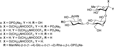 Synthesis Of Phosphorylated Fragments Of Streptococcus Pneumoniae Type 19f Capsular Polysaccharide Journal Of The Chemical Society Perkin Transactions 1 Rsc Publishing