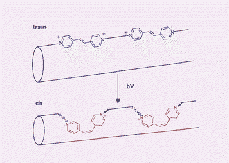 Photochemical modification of the surface area and tortuosity of a