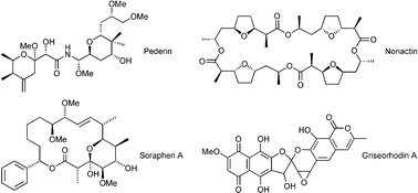 The biosynthesis, molecular genetics and enzymology of the polyketide ...