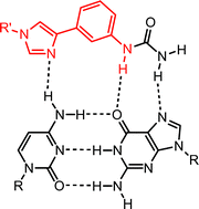 Cg Base Pair Recognition By Substituted Phenylimidazole Nucleosides Organic Biomolecular Chemistry Rsc Publishing