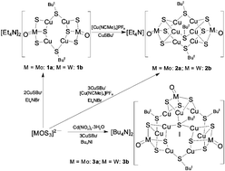 A Series Of Novel Mo W Cu S Heterobimetallic Clusters Containing Sbut Linkages Synthesis Structure And Spectroscopic Characterisation Dalton Transactions Rsc Publishing