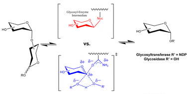 Mechanistic Analogies Amongst Carbohydrate Modifying Enzymes Chemical Communications Rsc Publishing