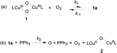 Spectroscopic Characterization Of The Oxo Transfer Reaction From A Bis M Oxo Dicopper Iii Complex To Triphenylphosphine Dalton Transactions Rsc Publishing