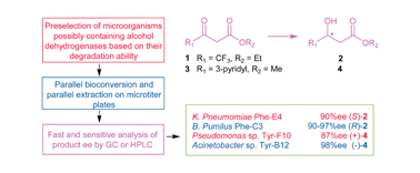 Rapid Identification Of New Bacterial Alcohol Dehydrogenases For R And S Enantioselective Reduction Of Ss Ketoesters Chemical Communications Rsc Publishing