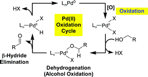 The renaissance of palladium(ii)-catalyzed oxidation chemistry - Organic &  Biomolecular Chemistry (RSC Publishing)