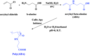 Synthesis Of Amino Acid Based Polymers Via Atom Transfer Radical Polymerization In Aqueous Media At Ambient Temperature Chemical Communications Rsc Publishing