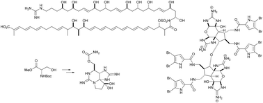 The Chemistry And Biology Of Organic Guanidine Derivatives Natural Product Reports Rsc Publishing