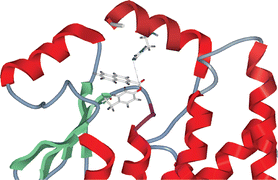 glutathione hydrolase Hydrolysis and transpeptidation reactions catalyzed by hGGT1. Yellow