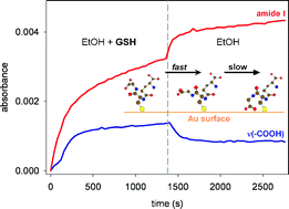 glutathione injection price in dubai Adsorption kinetics of l-glutathione on gold and structural changes during  self-assembly: an in situ ATR-IR and QCM study