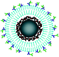 Bioinspired Colloidal Systems Via Layer-by-layer Assembly - Soft Matter 