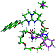 Molecular Recognition Of Oxoanions Based On Guanidinium Receptors Chemical Society Reviews Rsc Publishing