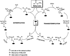 Synthesis and catalytic activity of mesostructured KF/Ca x Al 2 O (x+3) for  the transesterification reaction to produce biodiesel - RSC Advances (RSC  Publishing) DOI:10.1039/C2RA22218C