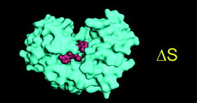 Calculations of solute and solvent entropies from molecular dynamics ...