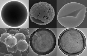 Hollow carbon spheres with a controllable shell structure - Journal of ...