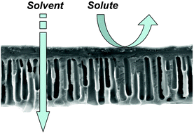 Solvent resistant nanofiltration: separating on a molecular level ...