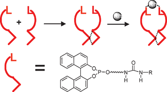 UREAphos: supramolecular bidentate ligands for asymmetric ...