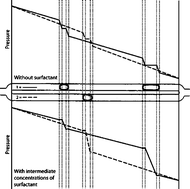 The pressure drop along rectangular microchannels containing bubbles ...