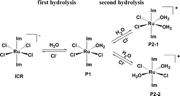 hydrolysis reaction diagram