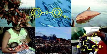 Brominated Flame Retardants In The Environment Of Asia Pacific An Overview Of Spatial And Temporal Trends Journal Of Environmental Monitoring Rsc Publishing