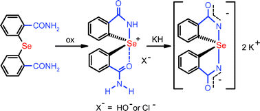 Formation of a spirodiazaselenurane and its corresponding azaselenonium  derivatives from the oxidation of 2,2-selenobis(benzamide). Structure,  properties and glutathione peroxidase activity - Organic & Biomolecular  Chemistry (RSC Publishing)