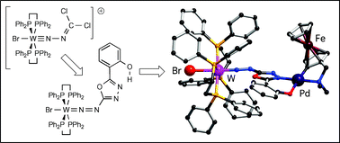 The Oxadiazolyldiazenido 1 Ligand A Remarkably Versatile Platform For The Synthesis Of Heteropolynuclear Transition Metal Complexes Dalton Transactions Rsc Publishing