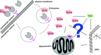 Development of m-zirconium/halloysite nanoclay composite