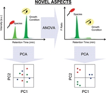 Constituents with independence from growth temperature for bacteria using  pyrolysis-gas chromatography/differential mobility spectrometry with  analysis of variance and principal component analysis - Analyst (RSC  Publishing)