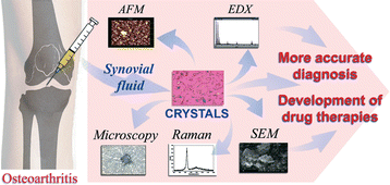 calcium oxalate crystals in synovial fluid