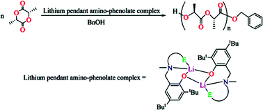 Structural and catalytic studies of lithium complexes bearing pendant ...