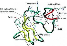 Why Is The Amyloid Beta Peptide Of Alzheimer S Disease Neurotoxic Dalton Transactions Rsc Publishing