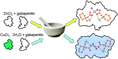 gabapentin and zinc