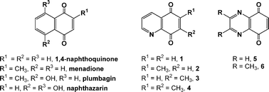 erythrocyte glutathione reductase Association between erythrocyte glutathione reductase activation main image 0