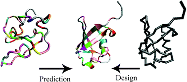 Computational protein design, from single domain soluble proteins 
