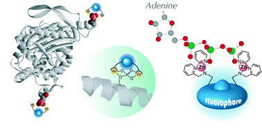 Fahmaページ Mamiya-Sekor Z 250mm F/4.5 [W] | LENS-DB.COM