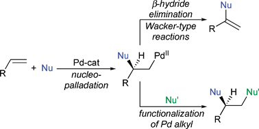 Mechanistic approaches to palladium-catalyzed alkene difunctionalization  reactions - Organic & Biomolecular Chemistry (RSC Publishing)