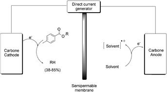 Electrochemical organic reactions image
