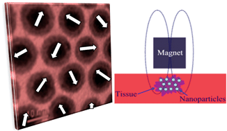 Magnetic nanoparticles: synthesis, functionalization, and applications in  bioimaging and magnetic energy storage - Chemical Society Reviews (RSC  Publishing)