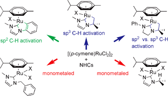 The Intramolecular Sp2 And Sp3 C H Bond Activation Of P Cymene Ruthenium Ii N Heterocyclic Carbene Complexes Dalton Transactions Rsc Publishing