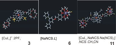 Ni Ii Co Ii Cu Ii Zn Ii And Na I Complexes Of A Hybrid Ligand 4 4 Benzo 15 Crown 5 Methyloxy 2 2 6 2 Terpyridine Dalton Transactions Rsc Publishing