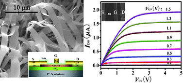 High-performance CdS nanobelt field-effect transistors with high-κ HfO2 ...