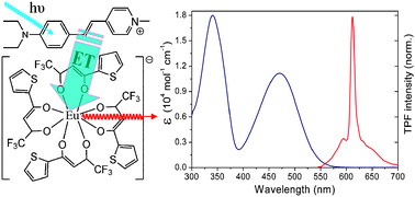 A novel europium(iii) complex with versatility in excitation ranging ...