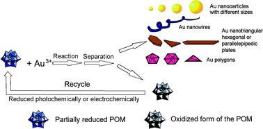 Synthesis Of Various Crystalline Gold Nanostructures In Water The Polyoxometalate B H4pmo12o40 3 As The Reducing And Stabilizing Agent Journal Of Materials Chemistry Rsc Publishing