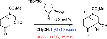 Asymmetric Synthesis Of 2 Azabicyclo 3 3 1 Nonanes By A Microwave Assisted Organocatalysed Tandem Desymmetrisation And Intramolecular Aldolisation Organic Biomolecular Chemistry Rsc Publishing